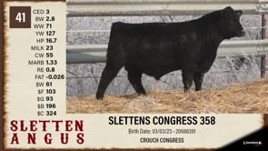 Lot #41 - SLETTENS CONGRESS 358