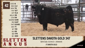 Lot #42 - SLETTENS DAKOTA GOLD 347