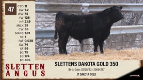 Lot #47 - SLETTENS DAKOTA GOLD 350