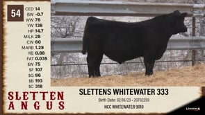 Lot #54 - SLETTENS WHITEWATER 333