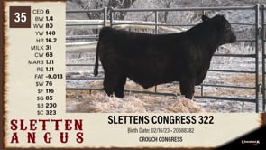 Lot #35 - SLETTENS CONGRESS 322