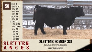 Lot #50 - SLETTENS BOMBER 381