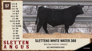 Lot #57 - SLETTENS WHITE WATER 388