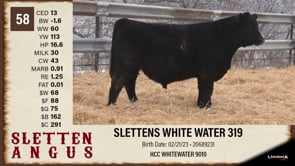 Lot #58 - SLETTENS WHITE WATER 319