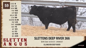 Lot #59 - SLETTENS DEEP RIVER 366