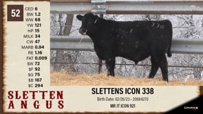 Lot #52 - SLETTENS ICON 338