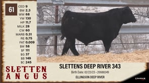 Lot #61 - SLETTENS DEEP RIVER 343