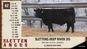 Lot #62 - SLETTENS DEEP RIVER 315