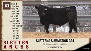 Lot #63 - SLETTENS SUMMATION 324