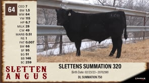 Lot #64 - SLETTENS SUMMATION 320
