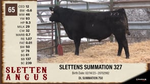 Lot #65 - SLETTENS SUMMATION 327