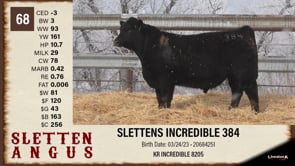 Lot #68 - SLETTENS INCREDIBLE 384