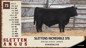Lot #73 - SLETTENS INCREDIBLE 376