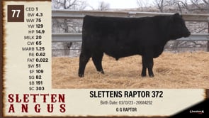 Lot #77 - SLETTENS RAPTOR 372