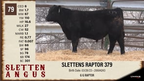 Lot #79 - SLETTENS RAPTOR 379