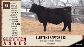 Lot #78 - SLETTENS RAPTOR 382