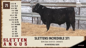 Lot #71 - SLETTENS INCREDIBLE 371