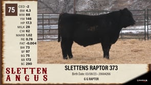Lot #75 - SLETTENS RAPTOR 373