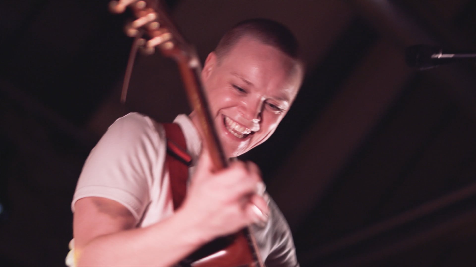 Wallis Bird Tour