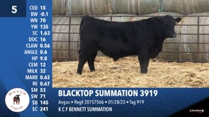 Lot #5 - BLACKTOP SUMMATION 3919