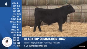 Lot #4 - BLACKTOP SUMMATION 3047