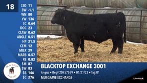 Lot #18 - BLACKTOP EXCHANGE 3001