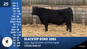 Lot #25 - BLACKTOP BOND 3006