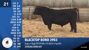 Lot #21 - BLACKTOP BOND 3903