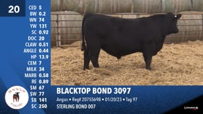 Lot #20 - BLACKTOP BOND 3097