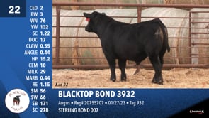 Lot #22 - BLACKTOP BOND 3932