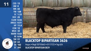Lot #11 - BLACKTOP BIPARTISAN 3626