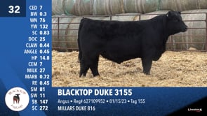 Lot #32 - BLACKTOP DUKE 3155