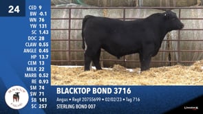 Lot #24 - BLACKTOP BOND 3716