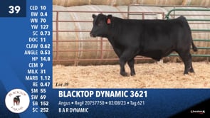 Lot #39 - BLACKTOP DYNAMIC 3621
