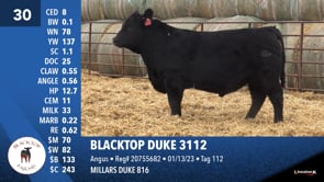 Lot #30 - BLACKTOP DUKE 3112