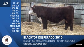 Lot #47 - BLACKTOP DESPERADO 3010