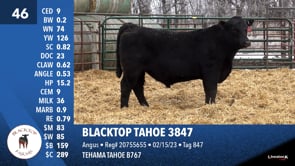 Lot #46 - BLACKTOP TAHOE 3847