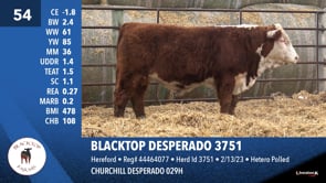 Lot #54 - BLACKTOP DESPERADO 3751