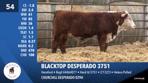 Lot #54 - BLACKTOP DESPERADO 3751