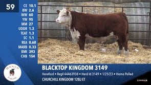 Lot #59 - BLACKTOP KINGDOM 3149
