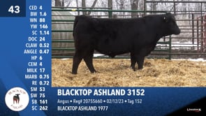 Lot #43 - BLACKTOP ASHLAND 3152