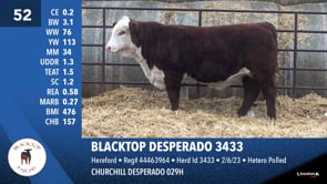 Lot #52 - BLACKTOP DESPERADO 3433