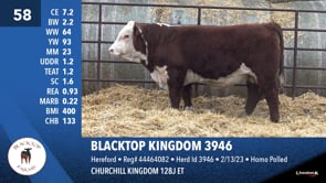 Lot #58 - BLACKTOP KINGDOM 3946
