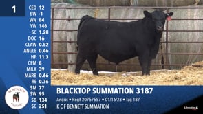 Lot #1 - BLACKTOP SUMMATION 3187