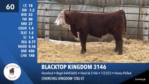 Lot #60 - BLACKTOP KINGDOM 3146