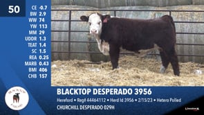 Lot #50 - BLACKTOP DESPERADO 3956