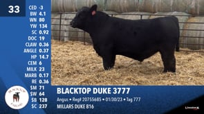 Lot #33 - BLACKTOP DUKE 3777