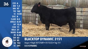 Lot #36 - BLACKTOP DYNAMIC 3151