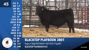 Lot #45 - BLACKTOP PLAYBOOK 3801