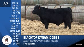 Lot #37 - BLACKTOP DYNAMIC 3815
